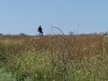 Gettysburg 125
